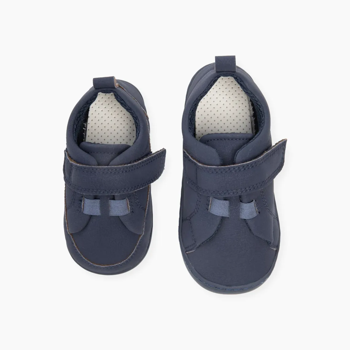 Baby Lobitos Paulitos Compás