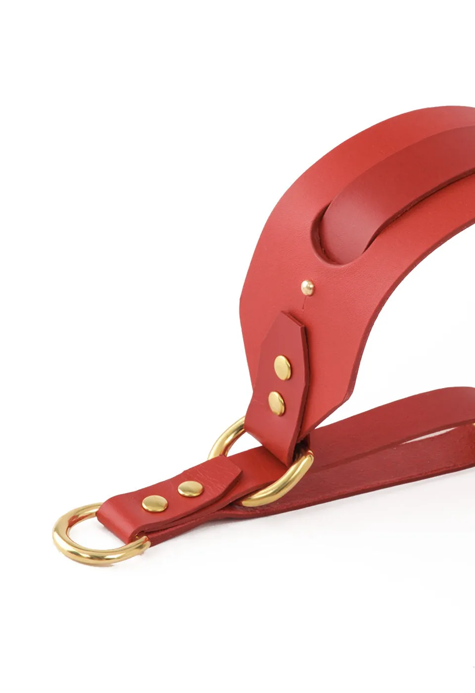 Collar Galgo