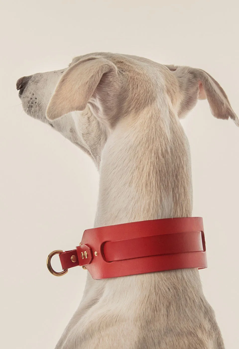 Collar Galgo