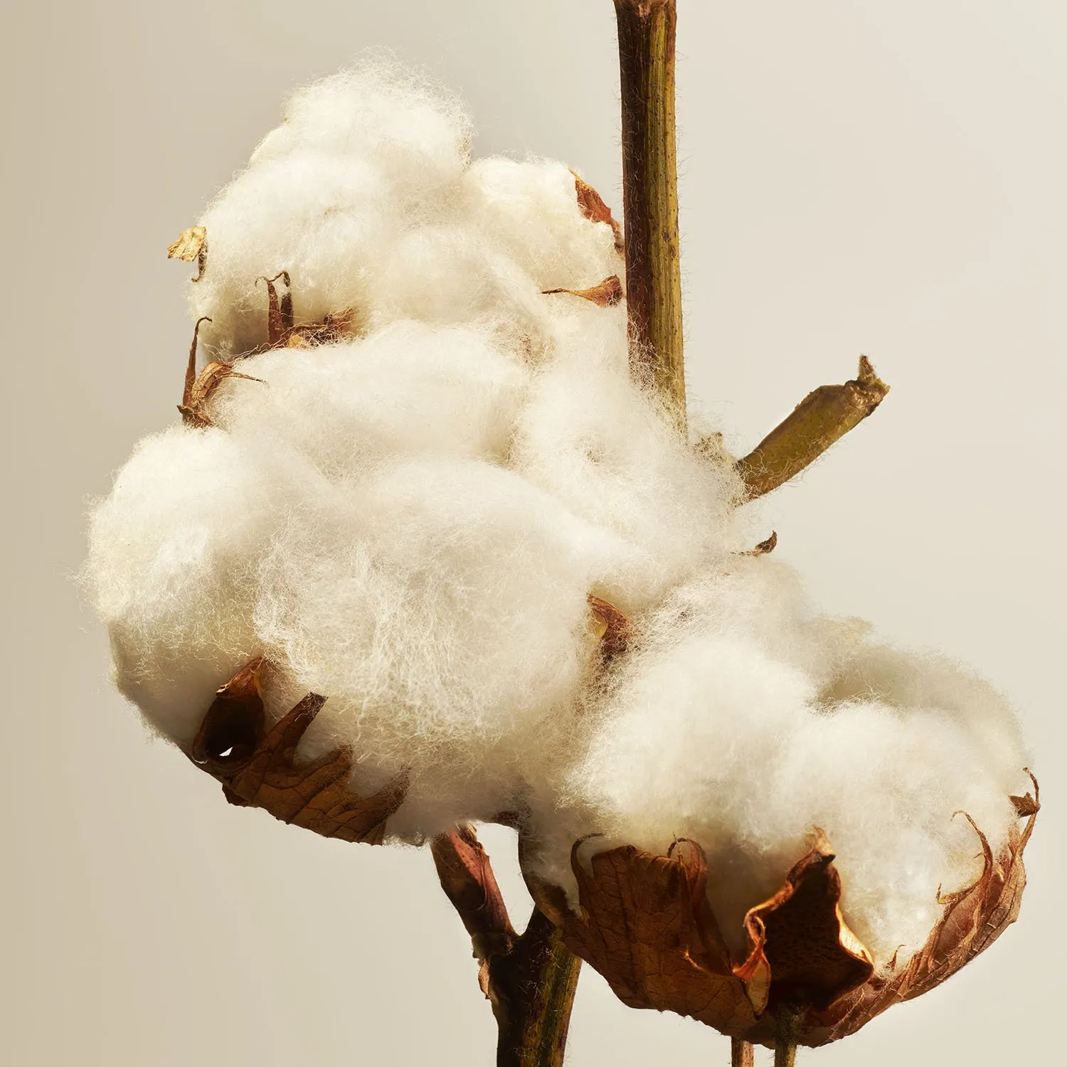 RITUALS COTTON BLOSSOM  BARRITAS AROMáTICAS