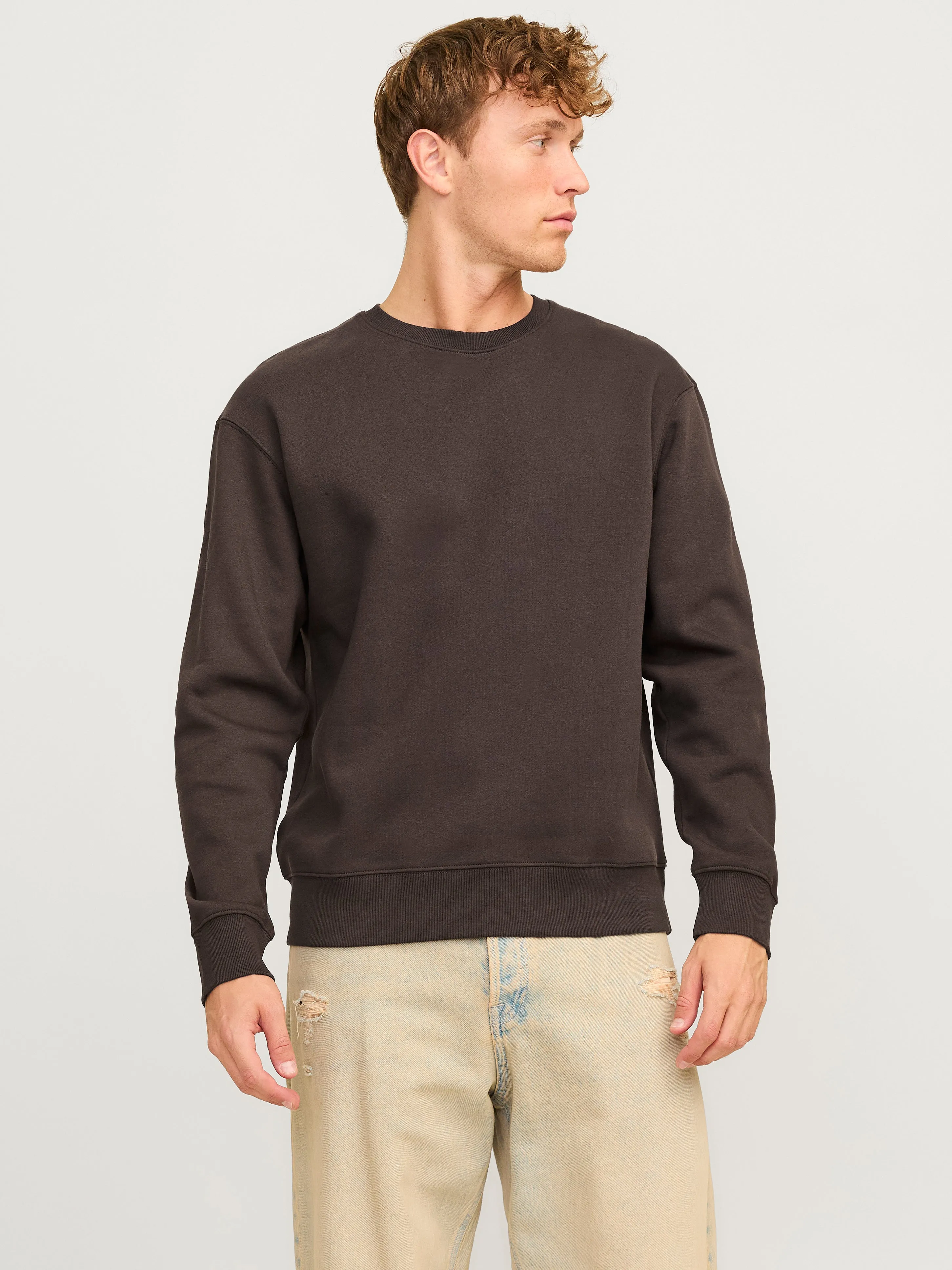 Sudadera Liso | Marrón claro | Jack & Jones®