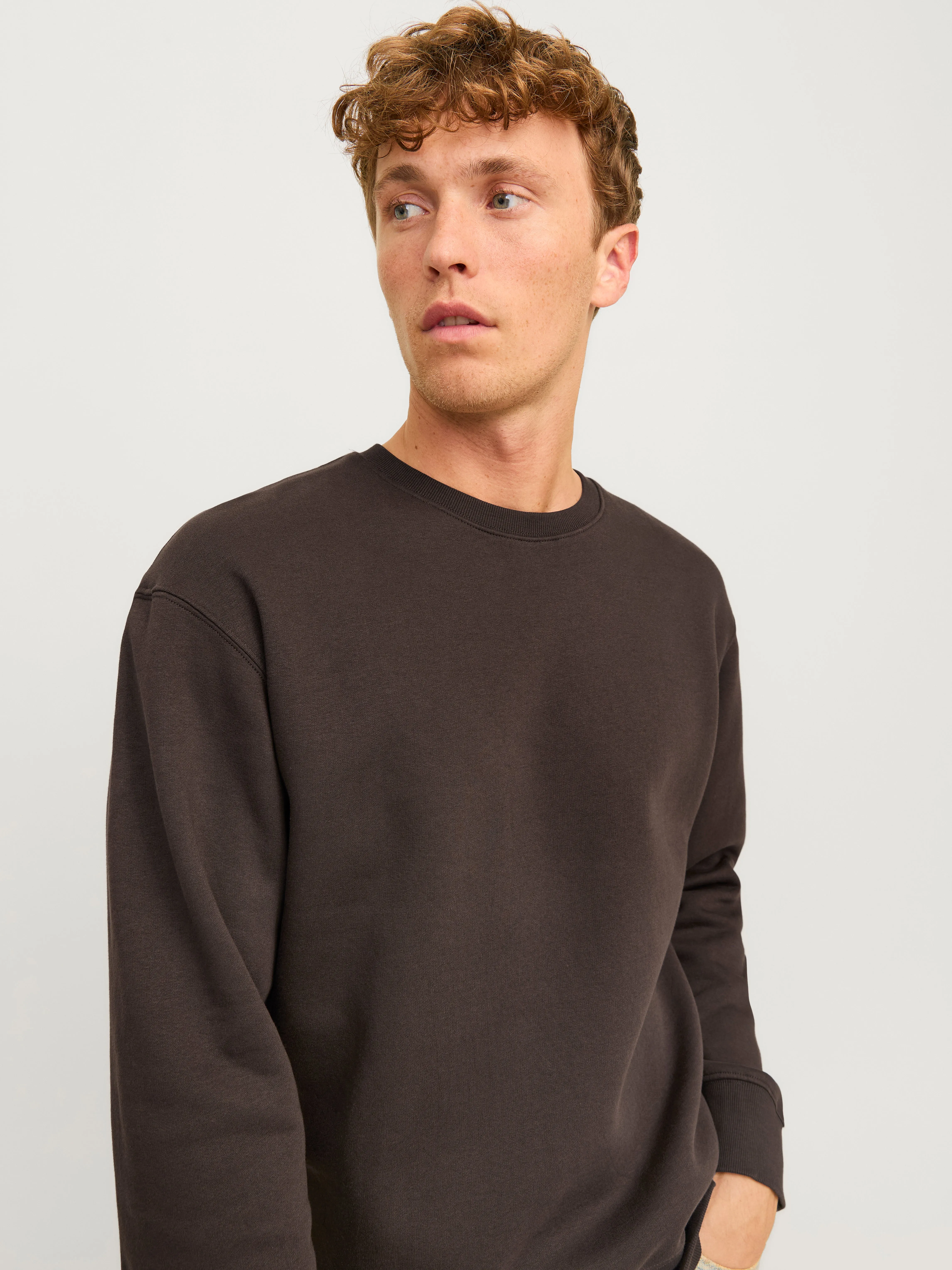 Sudadera Liso | Marrón claro | Jack & Jones®