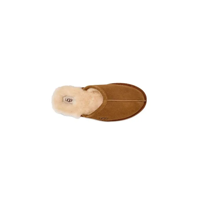 Zapatillas UGG M Scuff (castaña) hombre