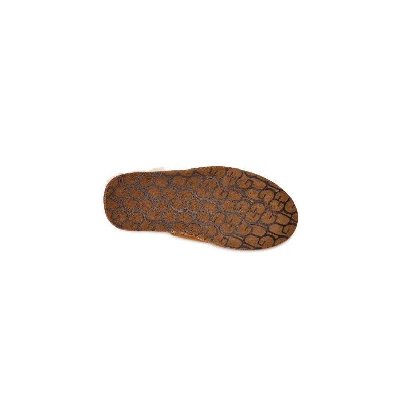 Zapatillas UGG M Scuff (castaña) hombre